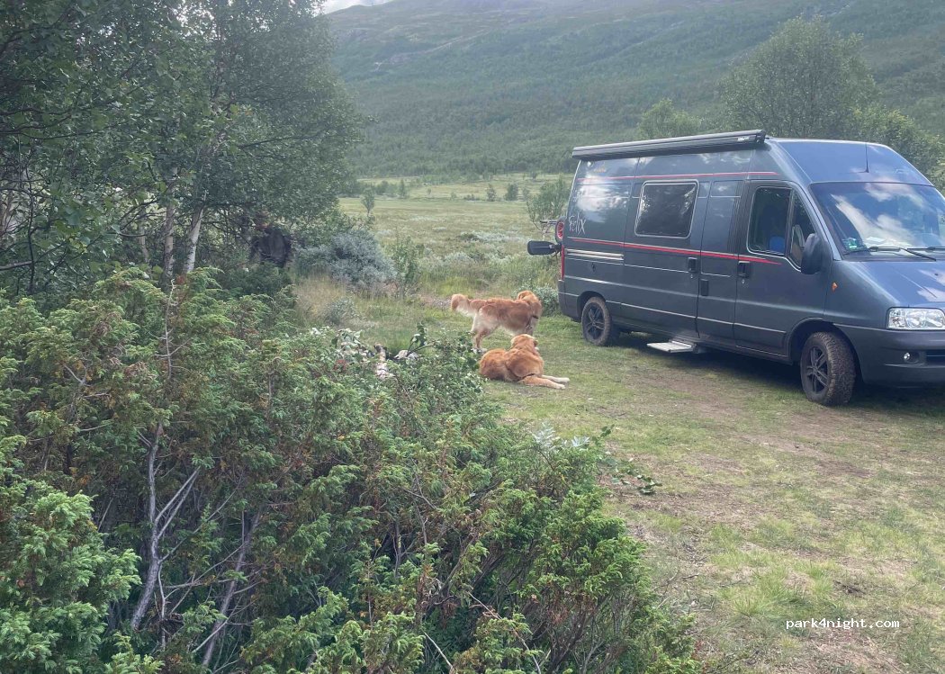 (3560) Hemsedal - — foto 4