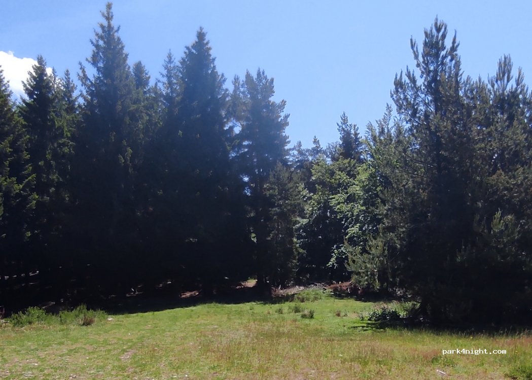 (07160) Dornas - Unnamed Road — foto 2