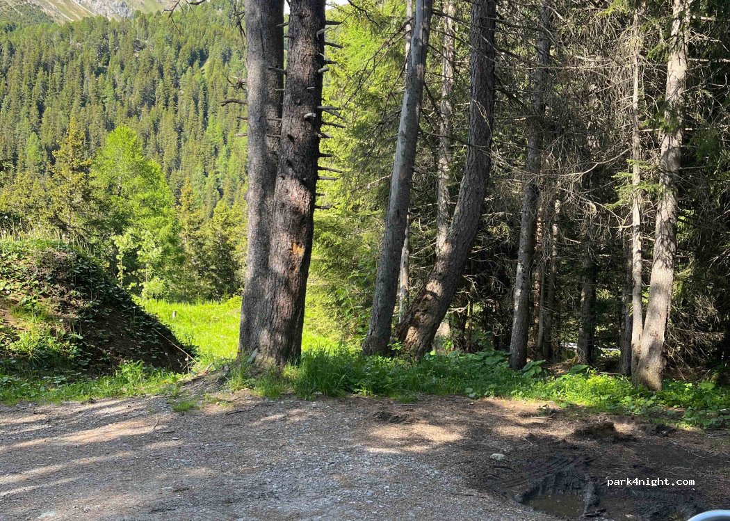 (7482) Bergün/Bravuogn - — foto 2