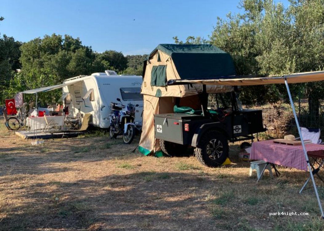 Sokakağzı Zeytin Kamp — foto