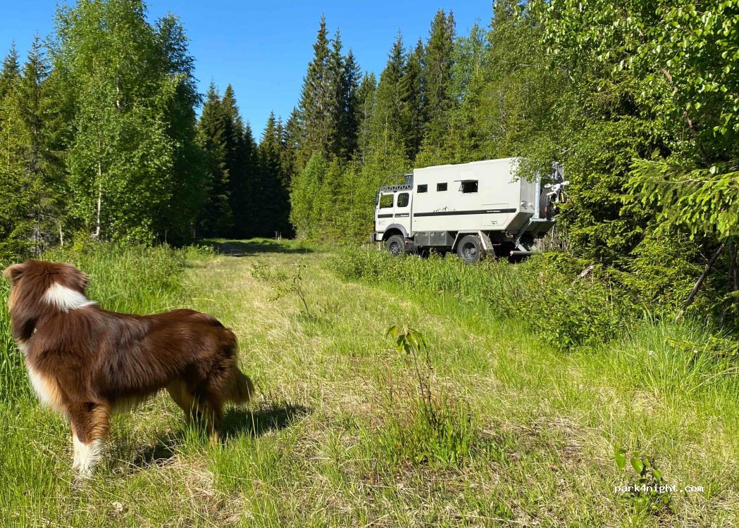 (7822) Leirvik - Unnamed Road — foto