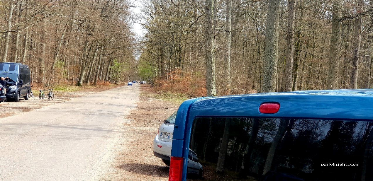 (77300) Fontainebleau - Allée des Vaches — foto