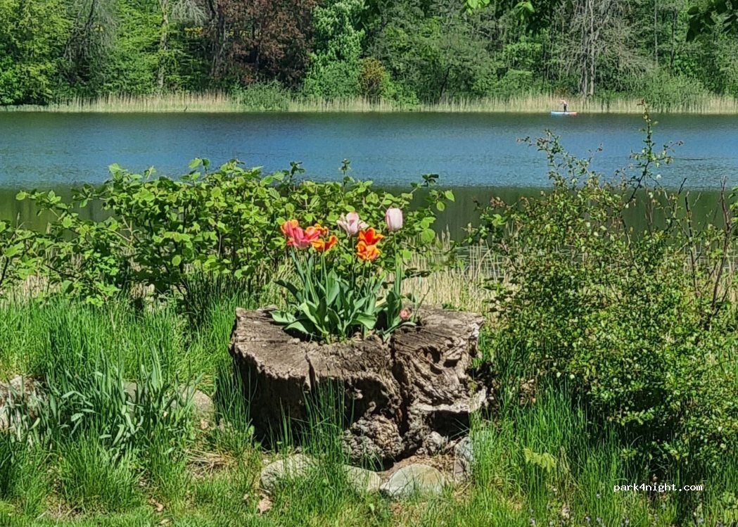 Seeblick Jürgenshagen — foto 5