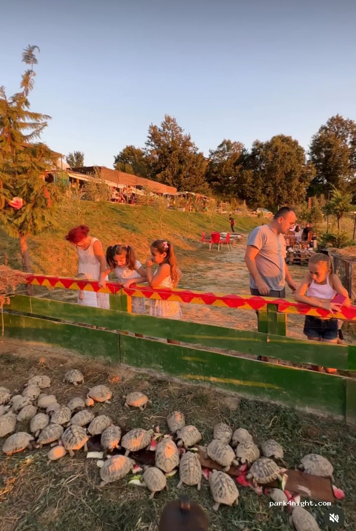 Turtle Farm Albania — foto 4