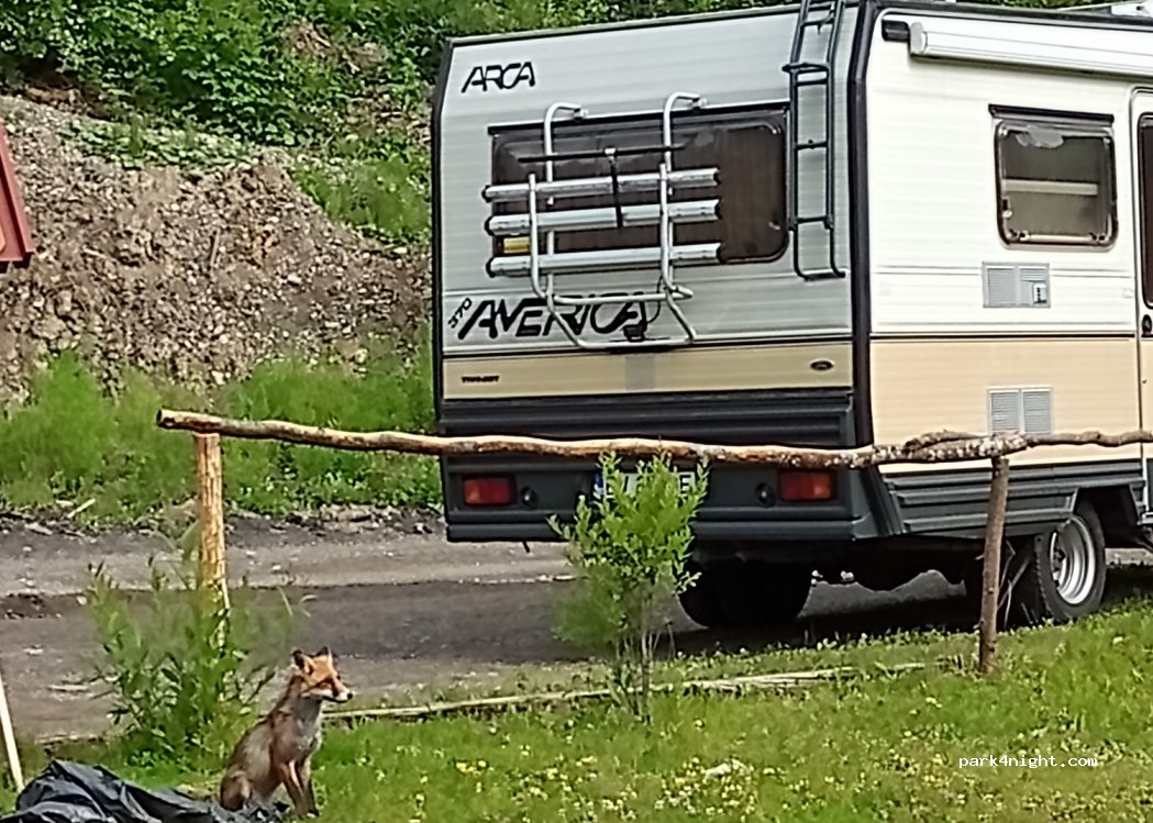 () Șugaș Băi - DJ121C — foto 2