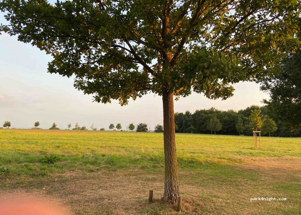 (32756) Detmold - 6 Charles-Lindbergh-Ring — foto 3