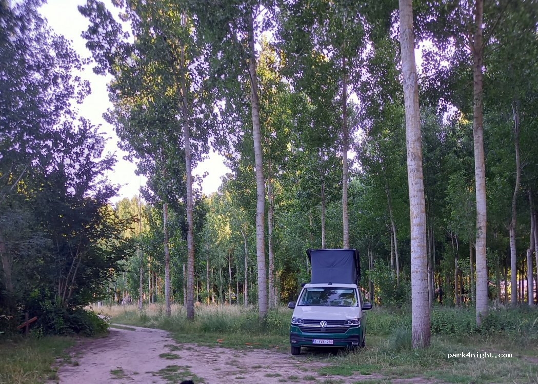 (49400) Saumur - Unnamed road — foto