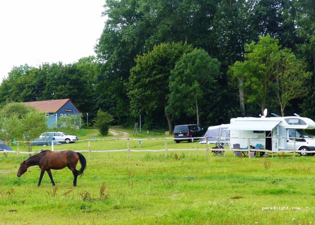 Bernsteinreiter NaturCampingplatz — foto
