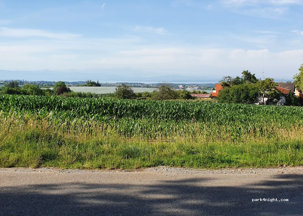 (88677) Markdorf - Möggenweilerstraße — foto 3