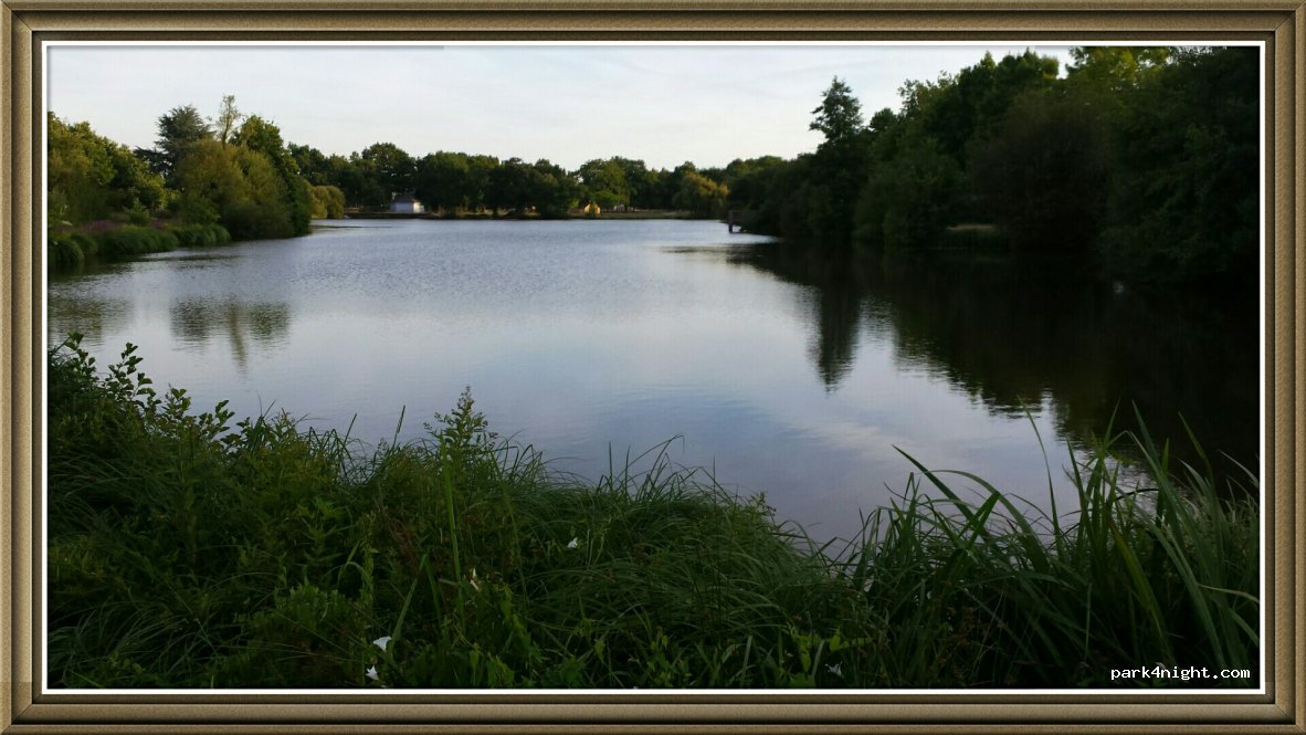 Camping de la Foret — foto 2