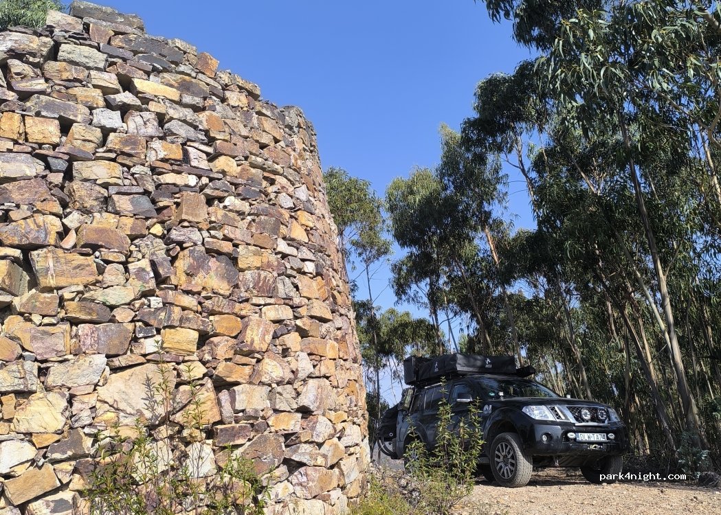 (8375) Silves - — foto 5