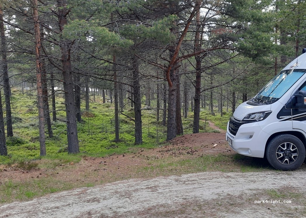 (2446) Elgå - 233 Risveien — foto 2