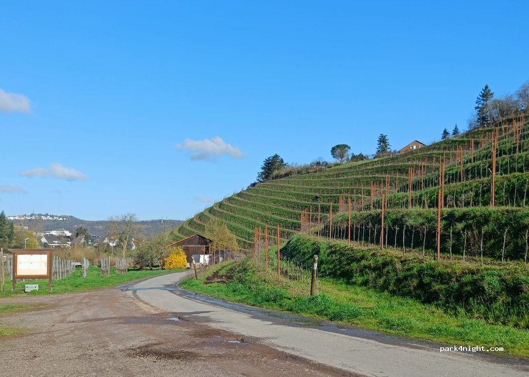 Weingut-Weinstube-Restaurant von Nell — foto 2