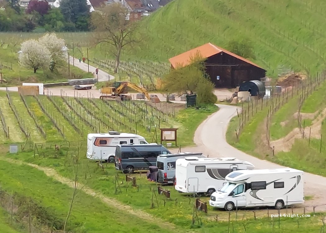 Weingut-Weinstube-Restaurant von Nell — foto 5