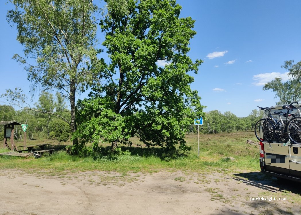 (29365) Sprakensehl - Unnamed road — foto 2