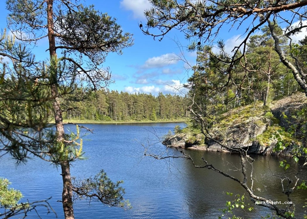 Viking Repubic — foto 4