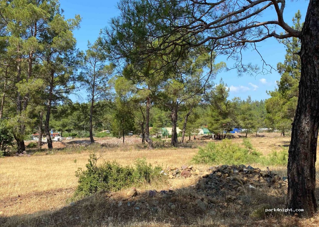 (48700) Muğla - Asparan Caddesi — foto 2