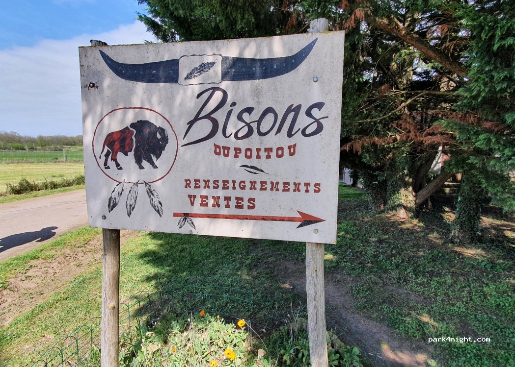 Bisons Du Poitou — foto 2