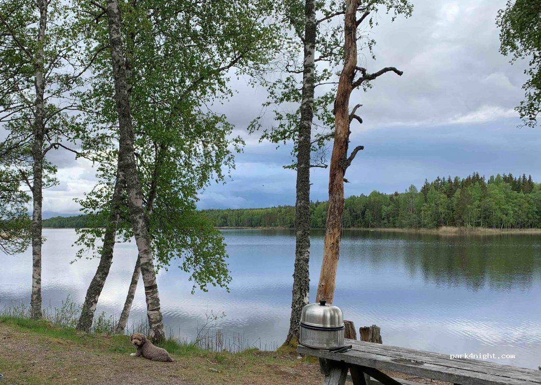 (739 92) Skinnskattebergs - Unnamed Road — foto
