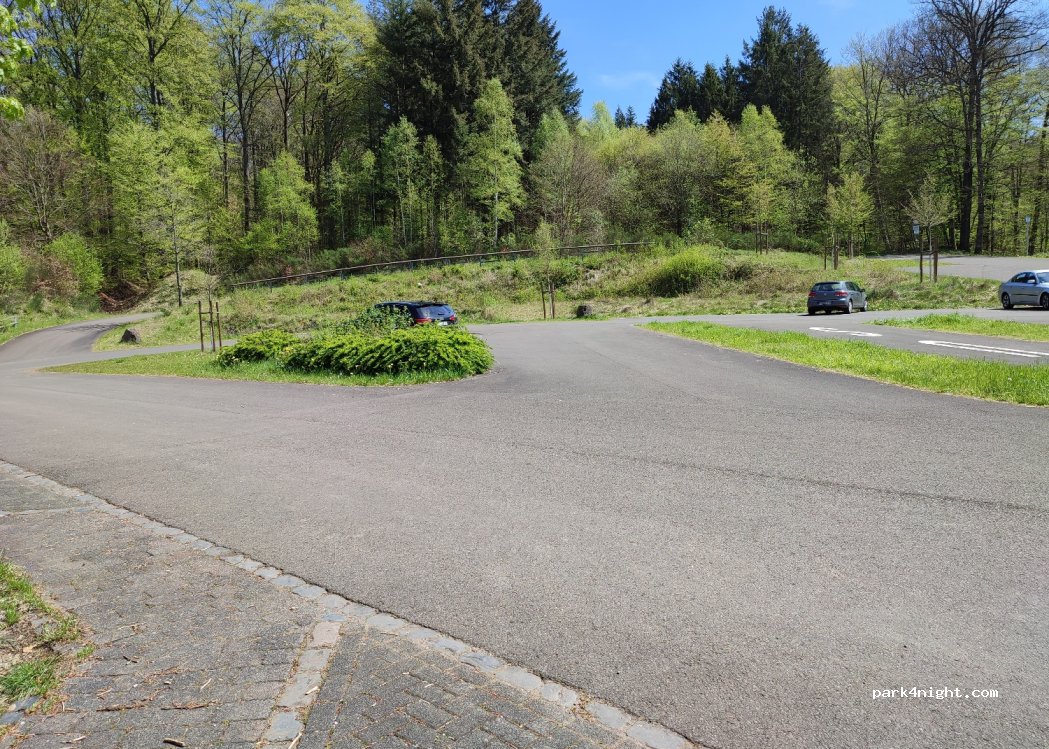 (54534) Großlittgen - 3 Abteistraße — foto 3