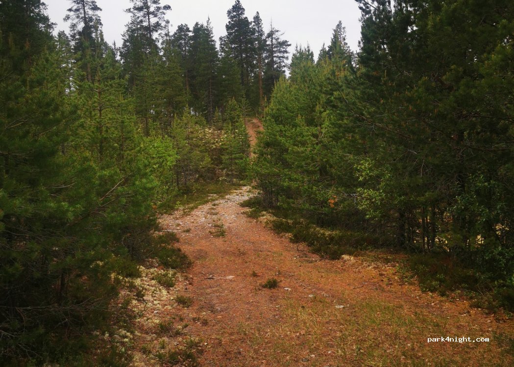 (842 94) Sveg - — foto 2