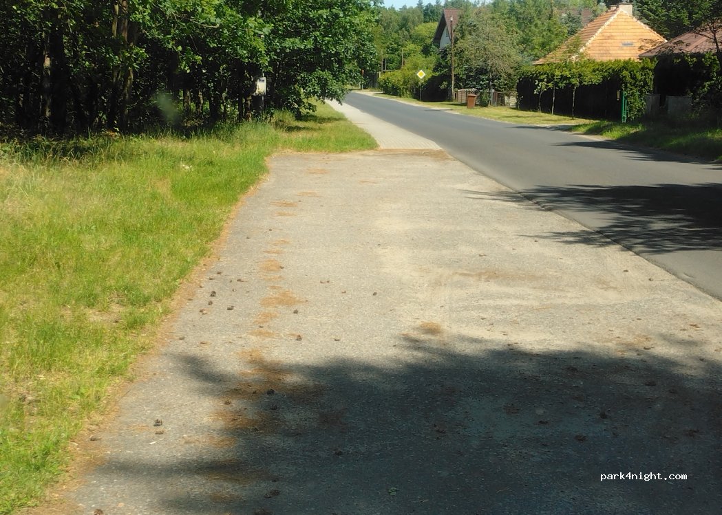 (63-020) Zaniemyśl - 1A Leśna — foto