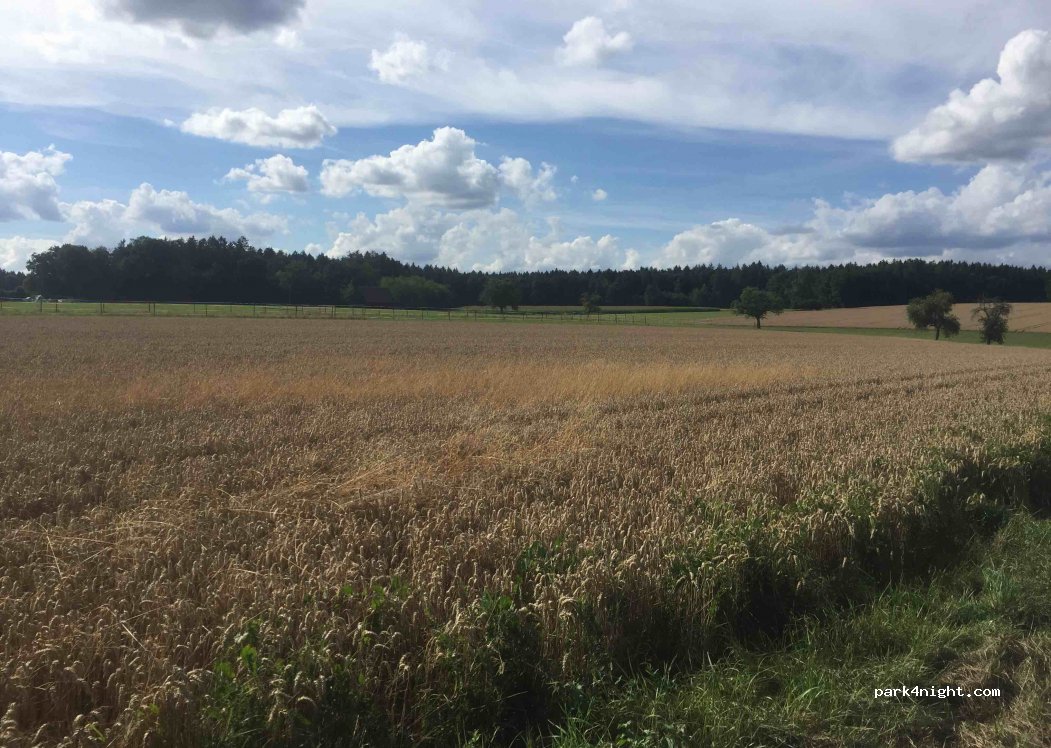 (88447) Warthausen - 4 Steigstraße — foto 3