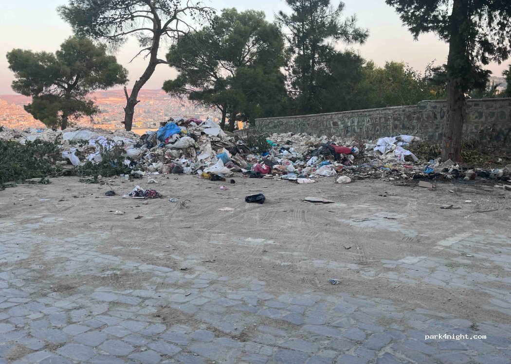 (63210) Şanlıurfa Merkez - 72 Tılfındır Sokak — foto 4