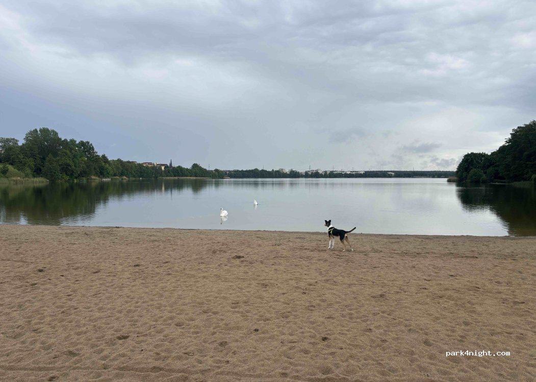 (19-300) Ełk - 10 Parkowa — foto 5