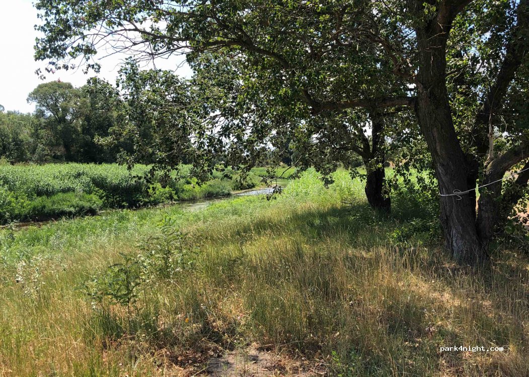 (84860) Caderousse - Unnamed Road — foto 2