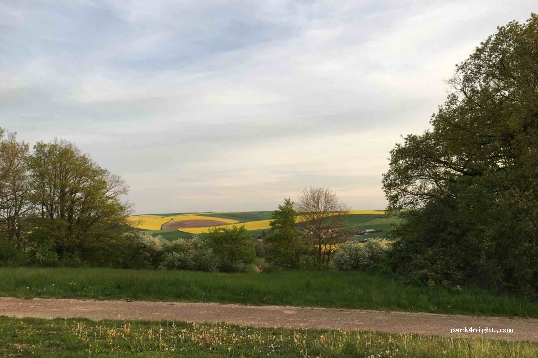 (89560) Ouanne - D950 — foto