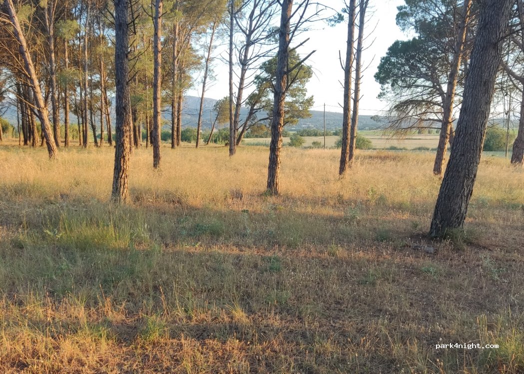 (17130) L'Escala - Unnamed Road — foto