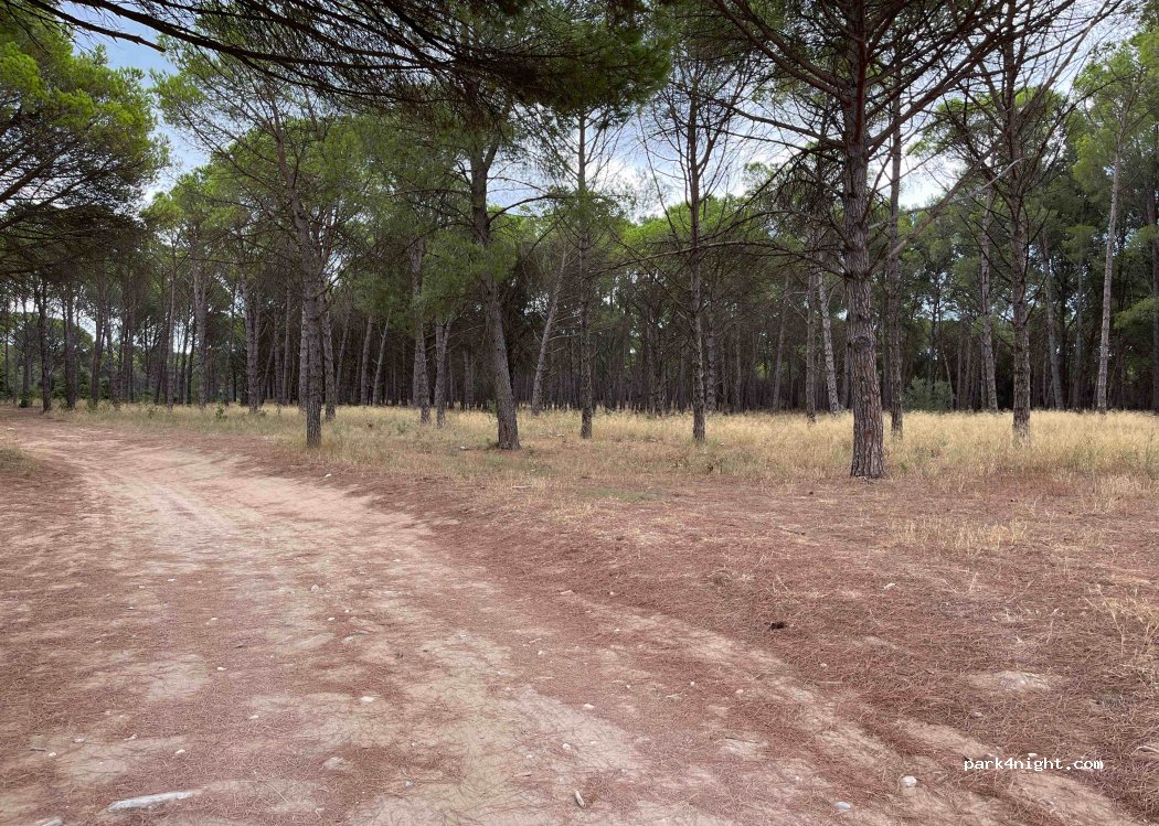(17130) L'Escala - Unnamed Road — foto 2