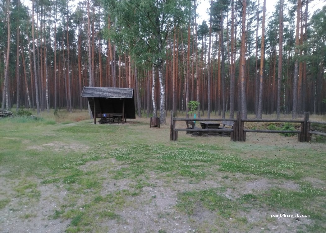 (89-505) Lisiny - Unnamed Road — foto 2