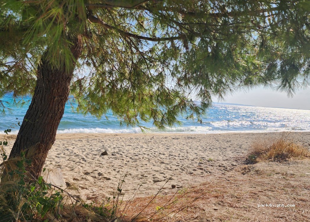 (630 88) Sithonia - — foto 2