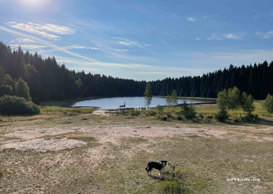 (08262) Muldenhammer - Talstraße — foto 3