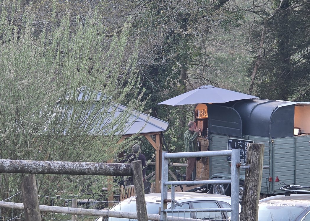 Cosmos Camping — foto 4