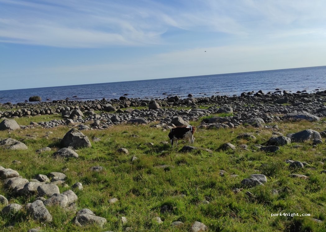 (4362) Vigrestad - 171 Hårrvegen — foto