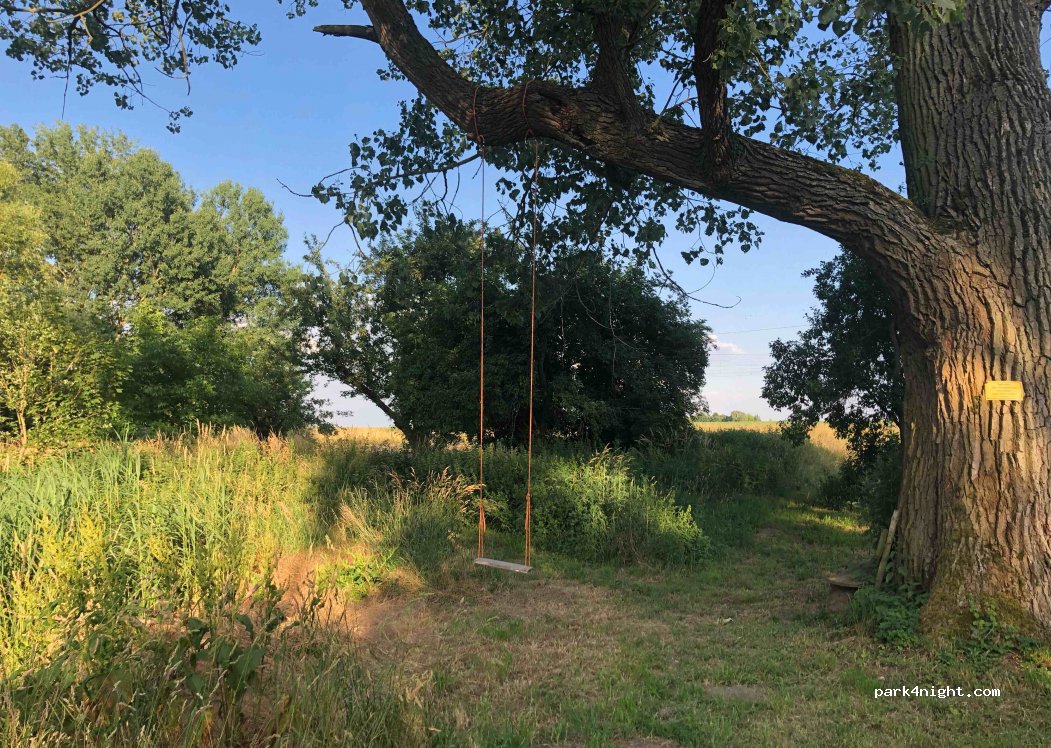(14806) Bad Belzig - Gruboer Str. 6 — foto 2