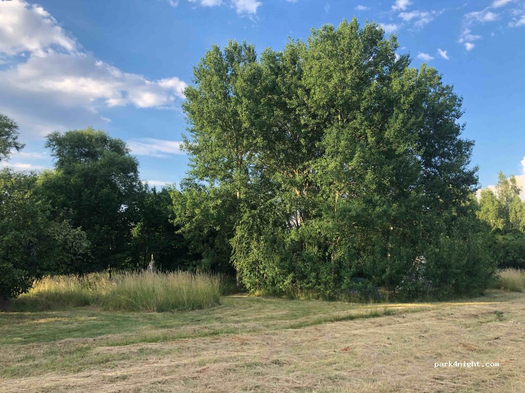 (14806) Bad Belzig - Gruboer Str. 6 — foto 3