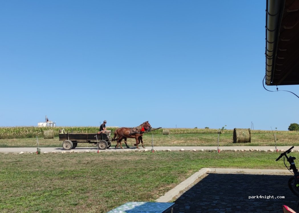 (447211) Berindan - Unnamed road — foto 3