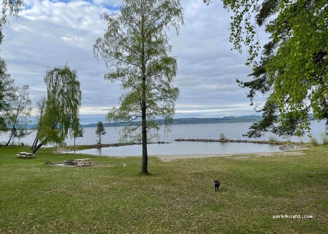(2849) Kapp - 4 Engevegen — foto 3