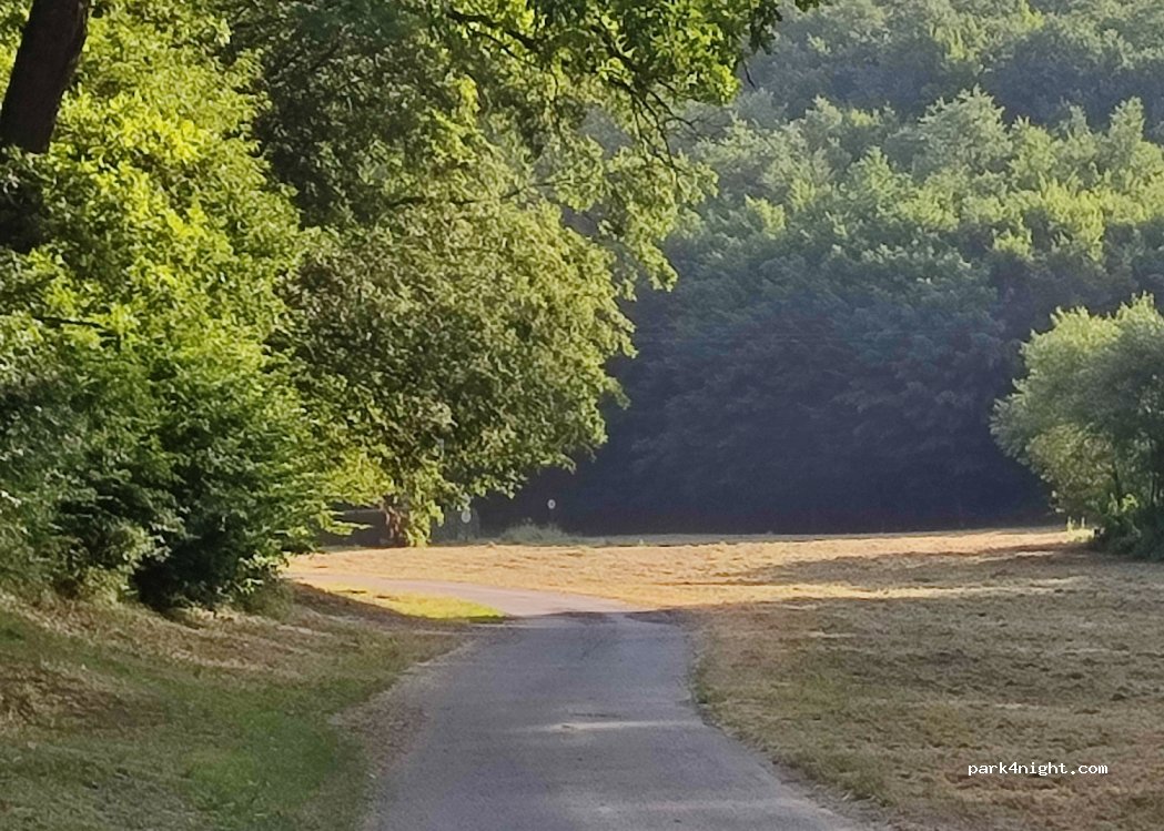 (7300) Komló - 5 Tölgyfa utca — foto 2