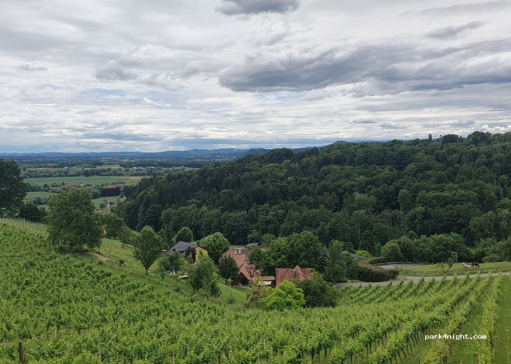 Lenhard Wine.Truffle.Living — foto 4