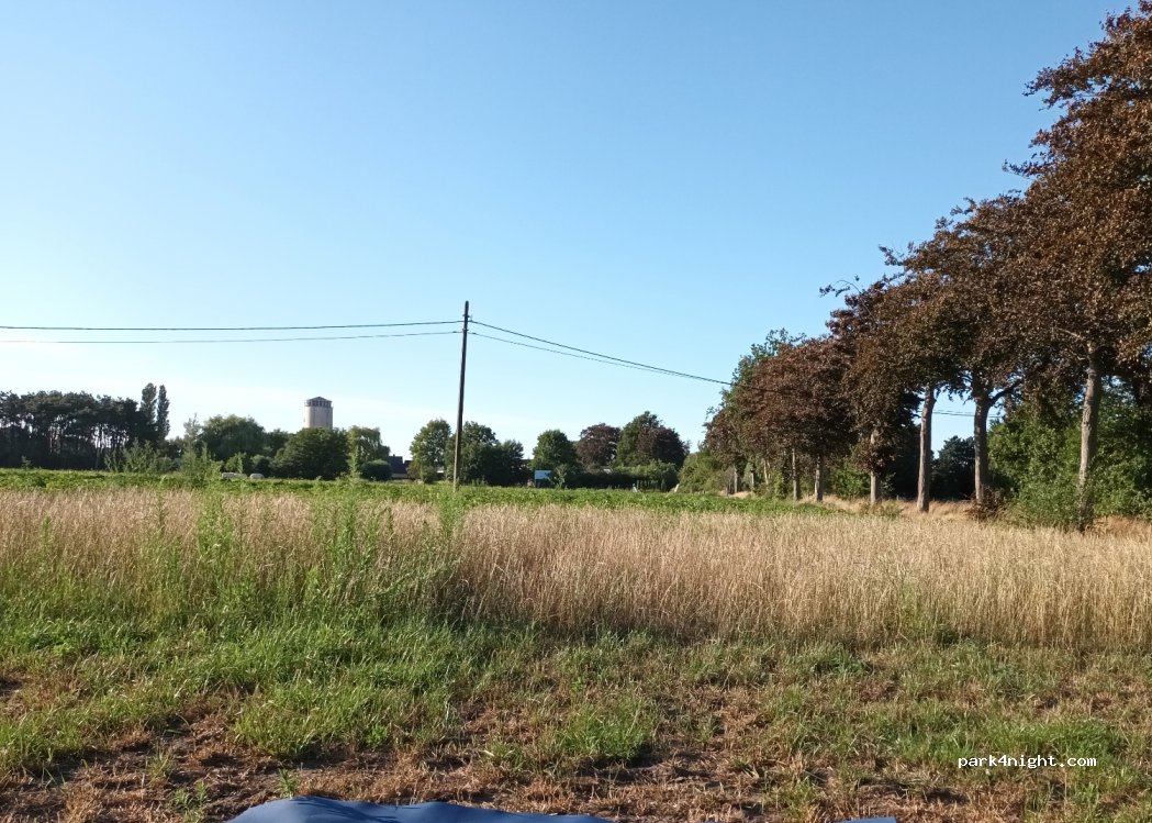 Pop up camping 't Houtland — foto 3