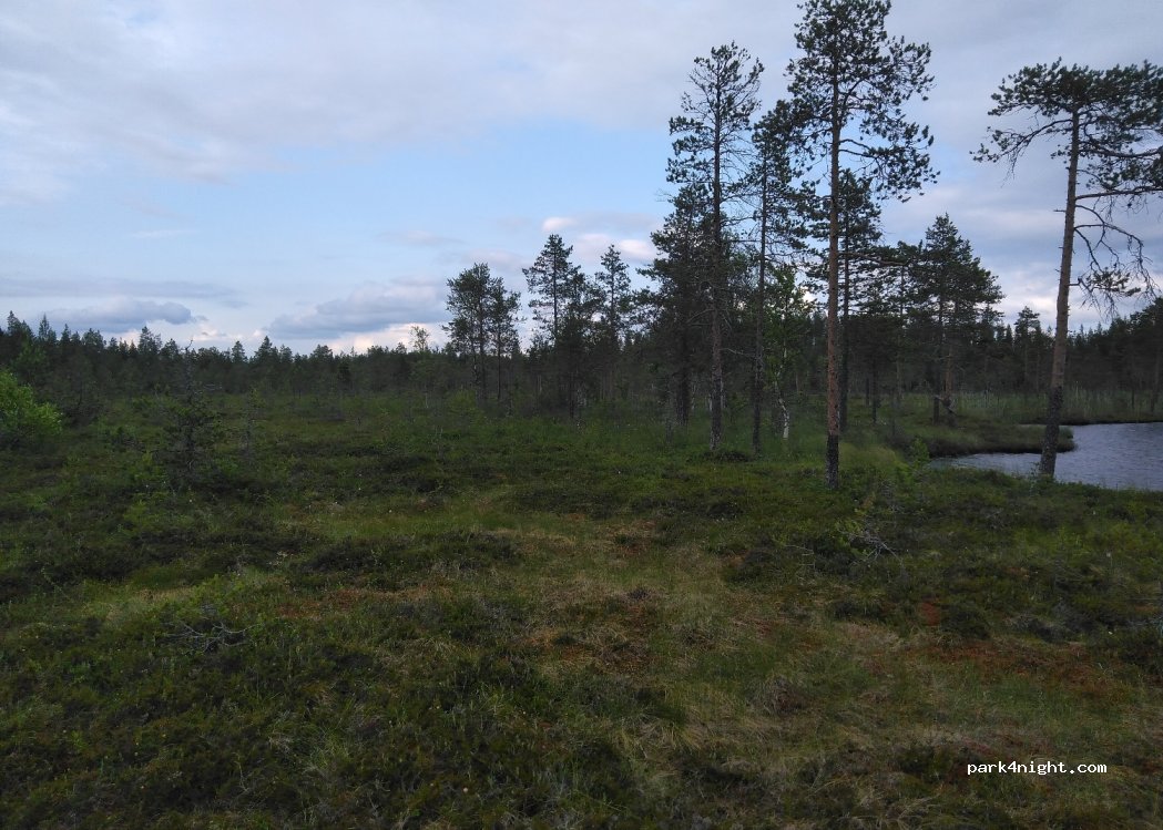 (937 95) Vindeln - Unnamed Road — foto 2