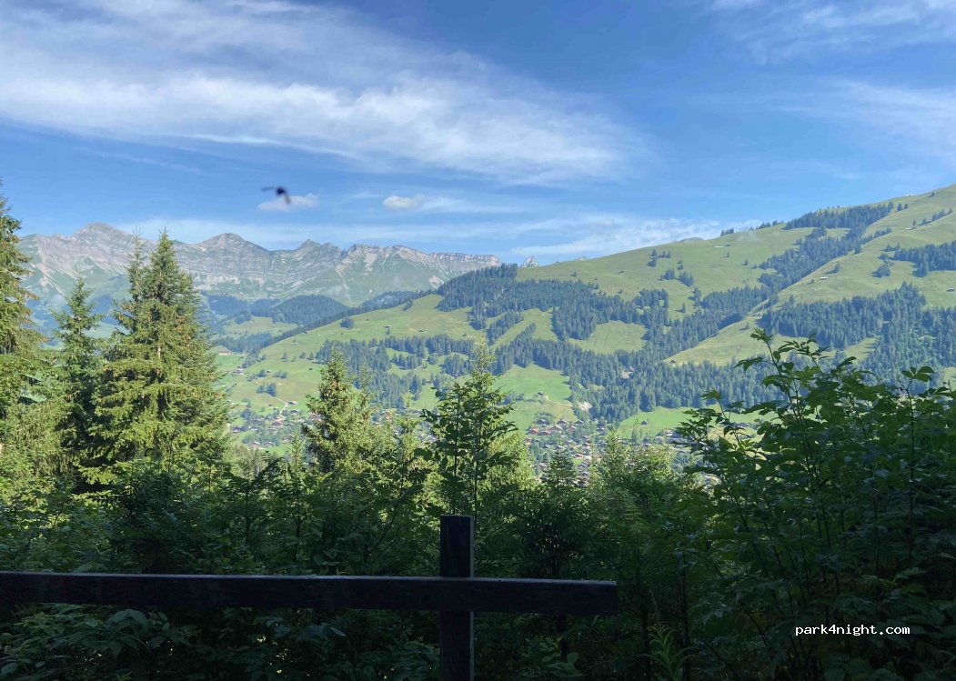 (1659) Rougemont - Ciernes Aux Rays — foto