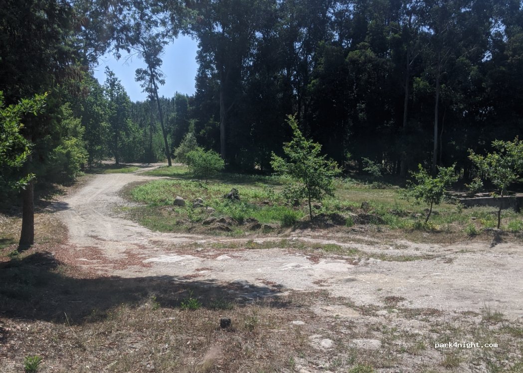 (3510) Viseu - Estrada Florestal de Mozelos — foto