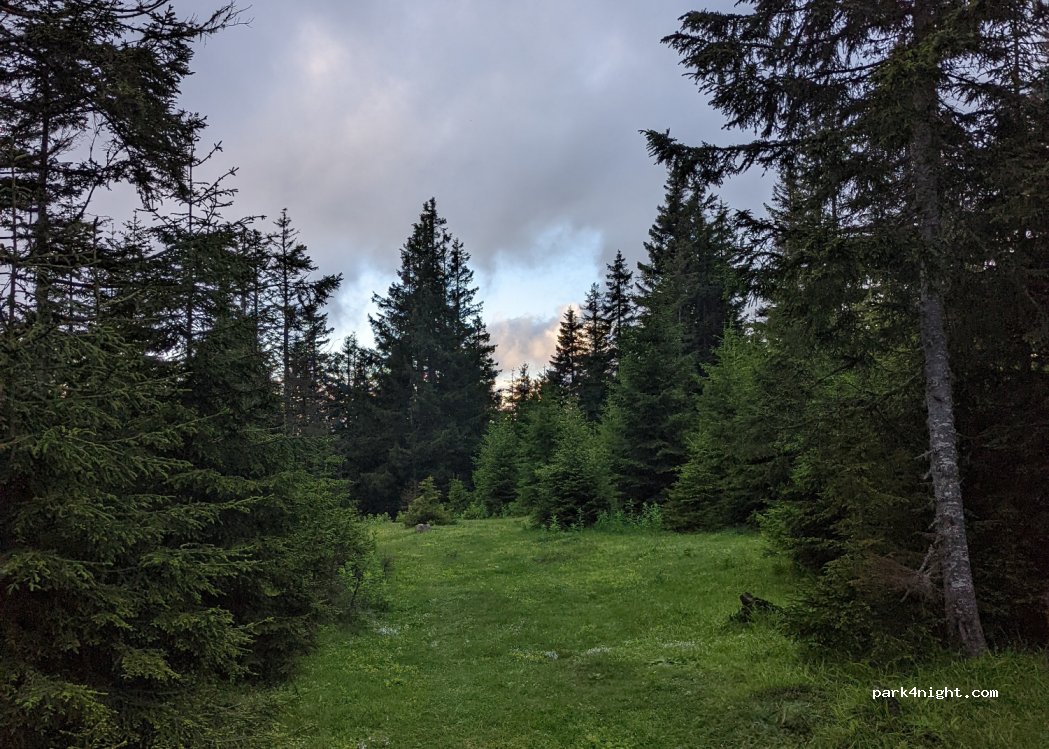(61300) Işıklar - — foto 3