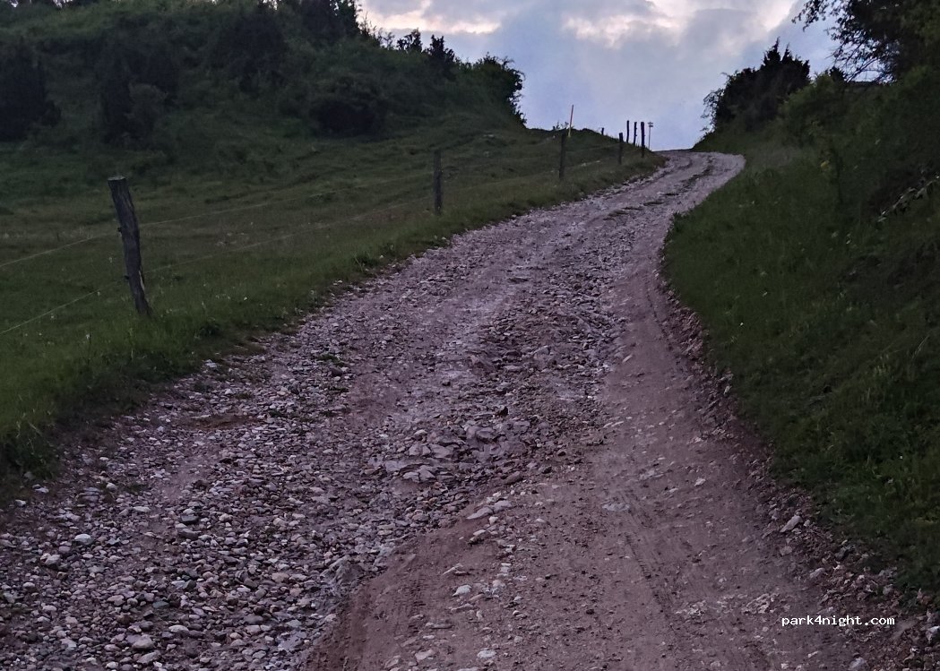 (065 31) Jarabina - — foto 5